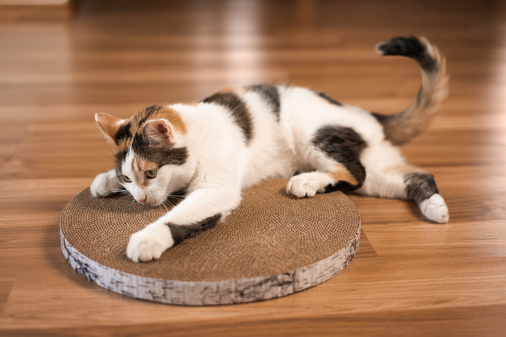 A calico cat with patches of white, black, and orange fur lies sprawled on a circular scratching post placed on a wooden floor. The cat's front paws are stretched forward, and its tail curls in the air. The scene is set indoors, with soft, warm lighting.