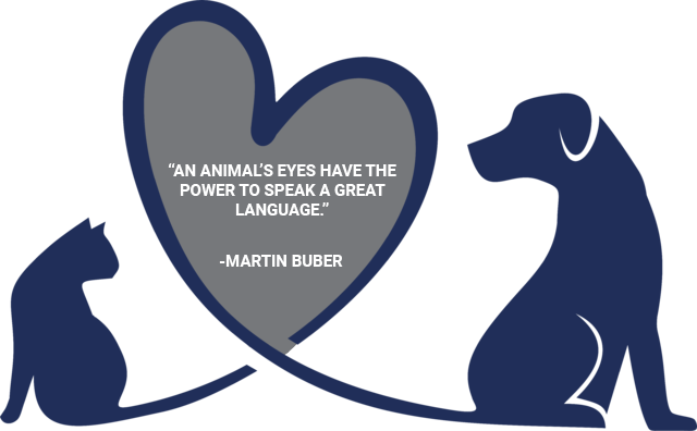 Memorial Villages Animal Hospital veterinary team in Houston, TX dedicated to compassionate pet care