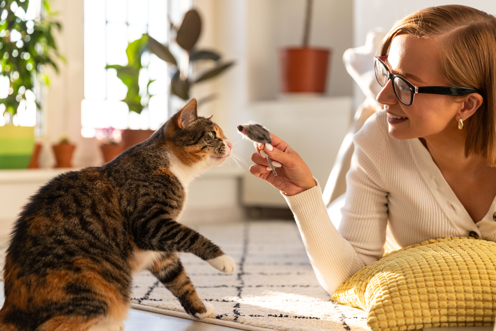 A woman wearing glasses shows a small toy to a curious tabby cat in a sunlit room filled with plants, creating a playful and warm interaction under the guidance of veterinary care Houston.