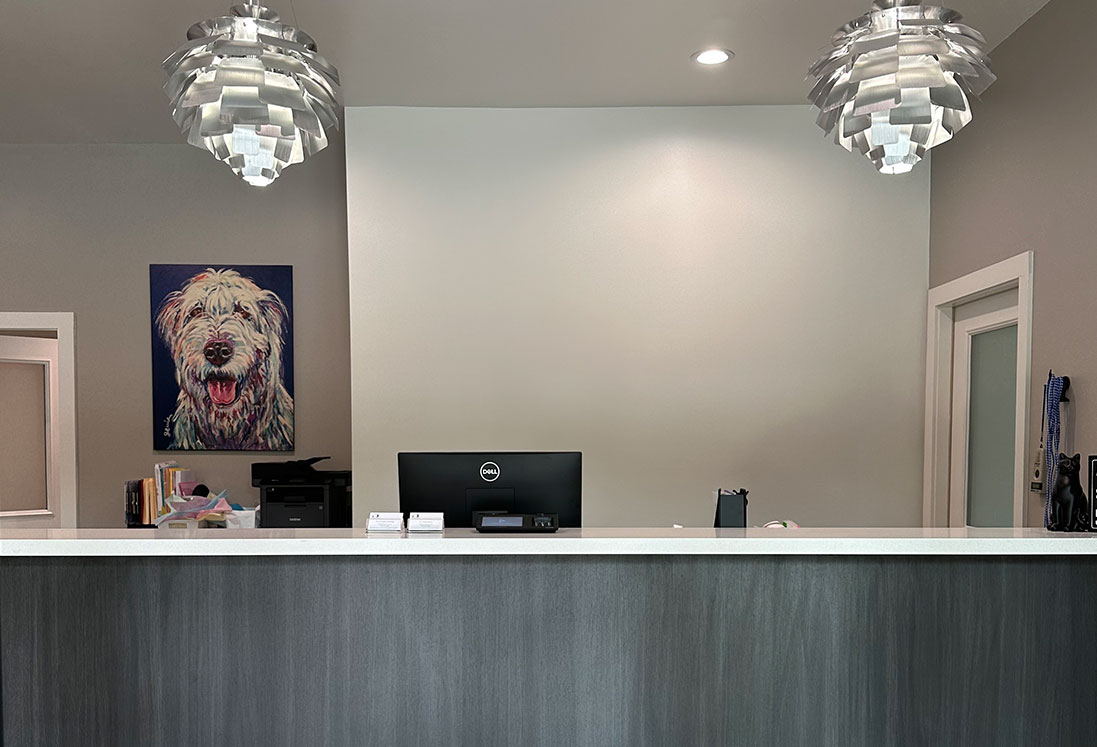 A modern veterinary reception desk with a computer, office supplies, and two stylish pendant lights hanging above. A large painting of a shaggy dog hangs on the wall.