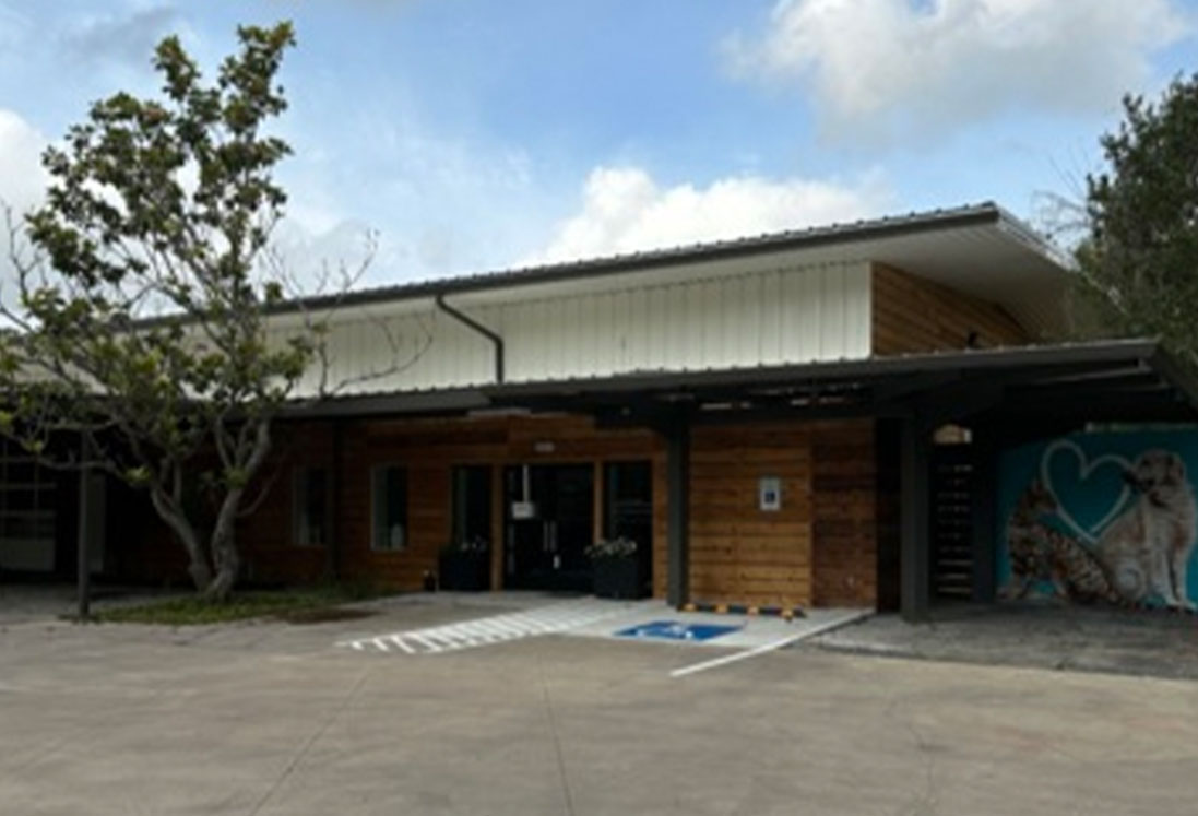 A one-story commercial building with a wooden facade and sloped metal roof, featuring accessible parking and a mural of a dog and cat on its side, specializing in veterinary acupuncture.