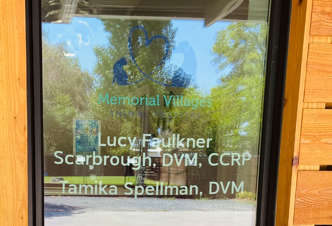 Glass door of a veterinary clinic, reflecting trees and a clear sky, displaying names of veterinarians specializing in pet pain management and a logo featuring a cat and dog forming a heart with their tails.