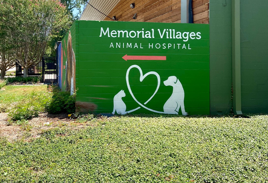 Green wall of memorial villages animal hospital featuring a large logo with a heart, a silhouette of a dog, a cat, and the hospital's name in bold white letters specializing in pet pain management.