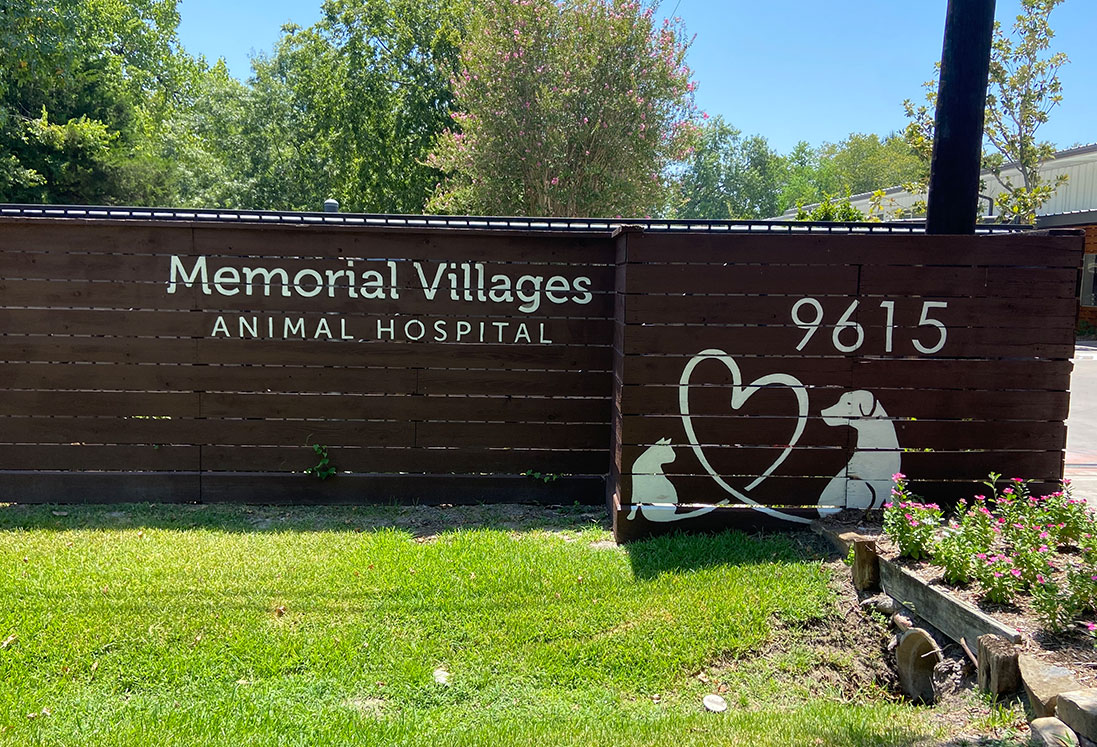 A brown wooden fence displaying the name "Memorial Villages Animal Hospital" with the address "9615." It features a sign with a stethoscope shaped into a heart around a dog and a