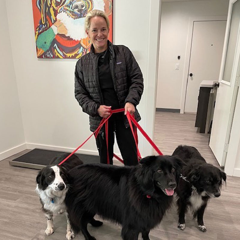 A woman in a black jacket smiles while holding red leashes of three dogs, two black and one black and white, in a room with modern decor and a colorful abstract painting on the wall during a