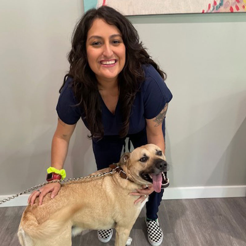 A woman in blue scrubs smiling at the camera while kneeling next to a happy tan dog with a leash, in a room with light-colored walls and artwork, specializing in veterinary acupuncture.