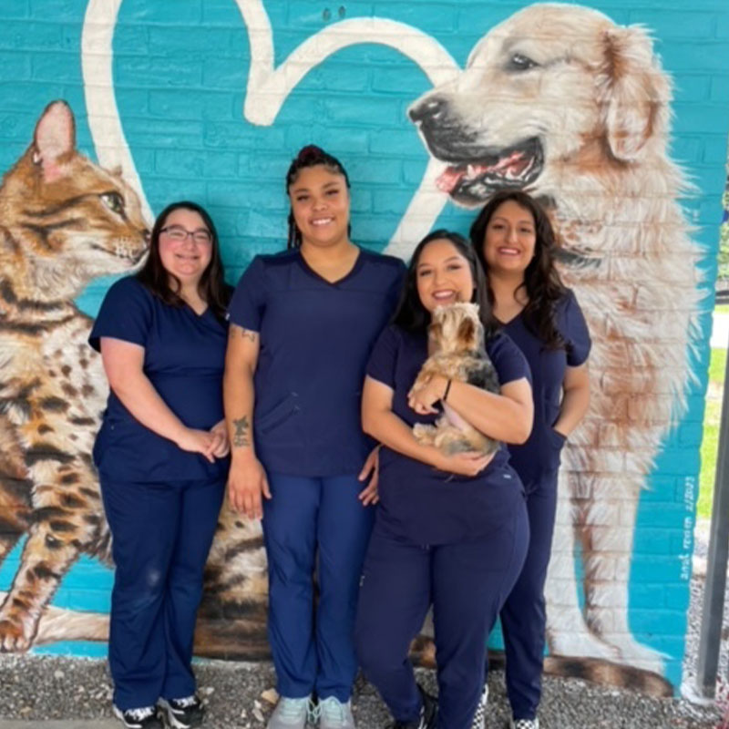 Four women in blue scrubs stand in front of a colorful mural featuring a cat and dogs, smiling as one of them holds a small dog. They appear to be veterinary staff specializing in pet pain management