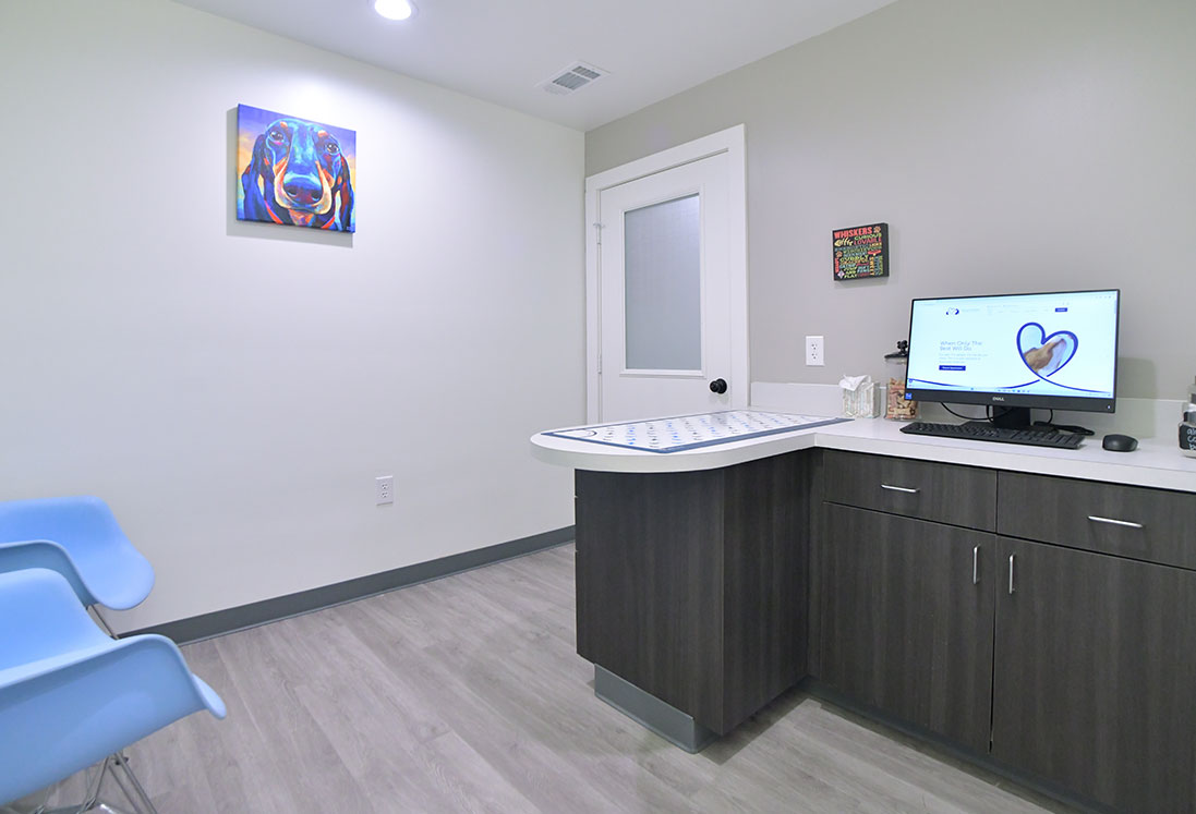 Modern veterinary care office in Houston with a curved wooden reception desk, computer, white walls, blue chairs, and medical-themed artwork.