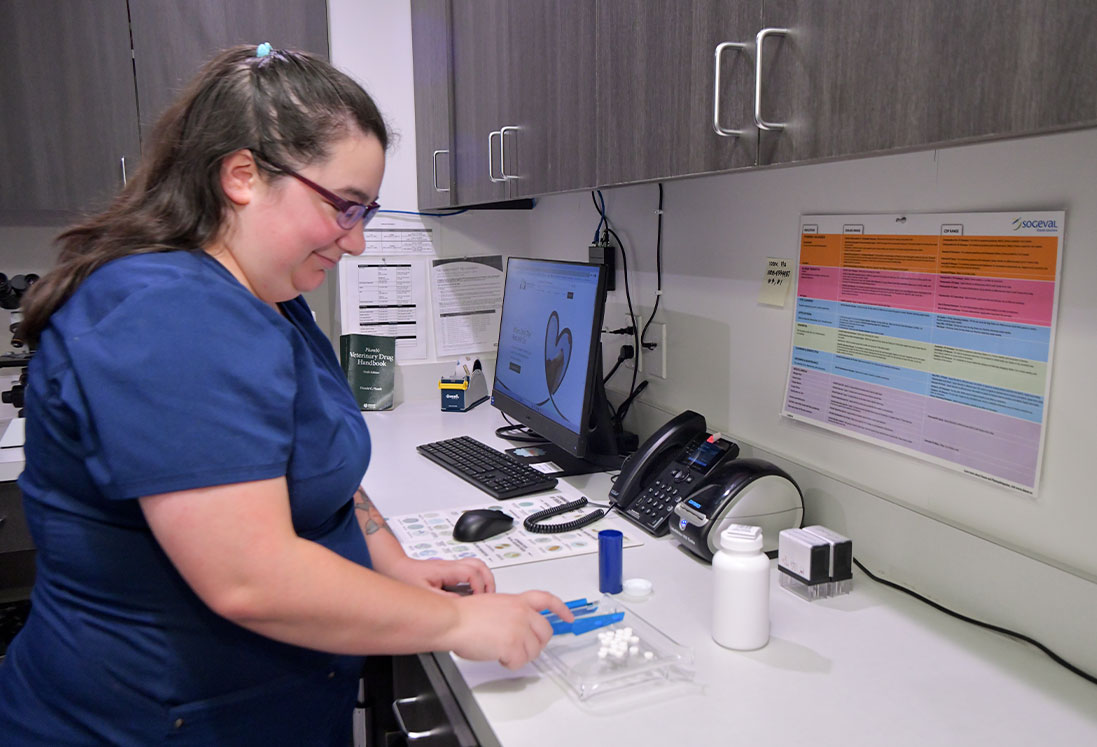 A nurse in blue scrubs prepares medication at a well-organized workstation with a computer, phone, and medication bottles in a veterinary care office in Houston.