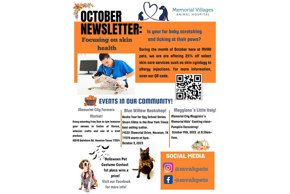 An October newsletter graphic with a health focus, featuring discounts on veterinary acupuncture and pet grooming, alongside community events and contact info with social media handles.