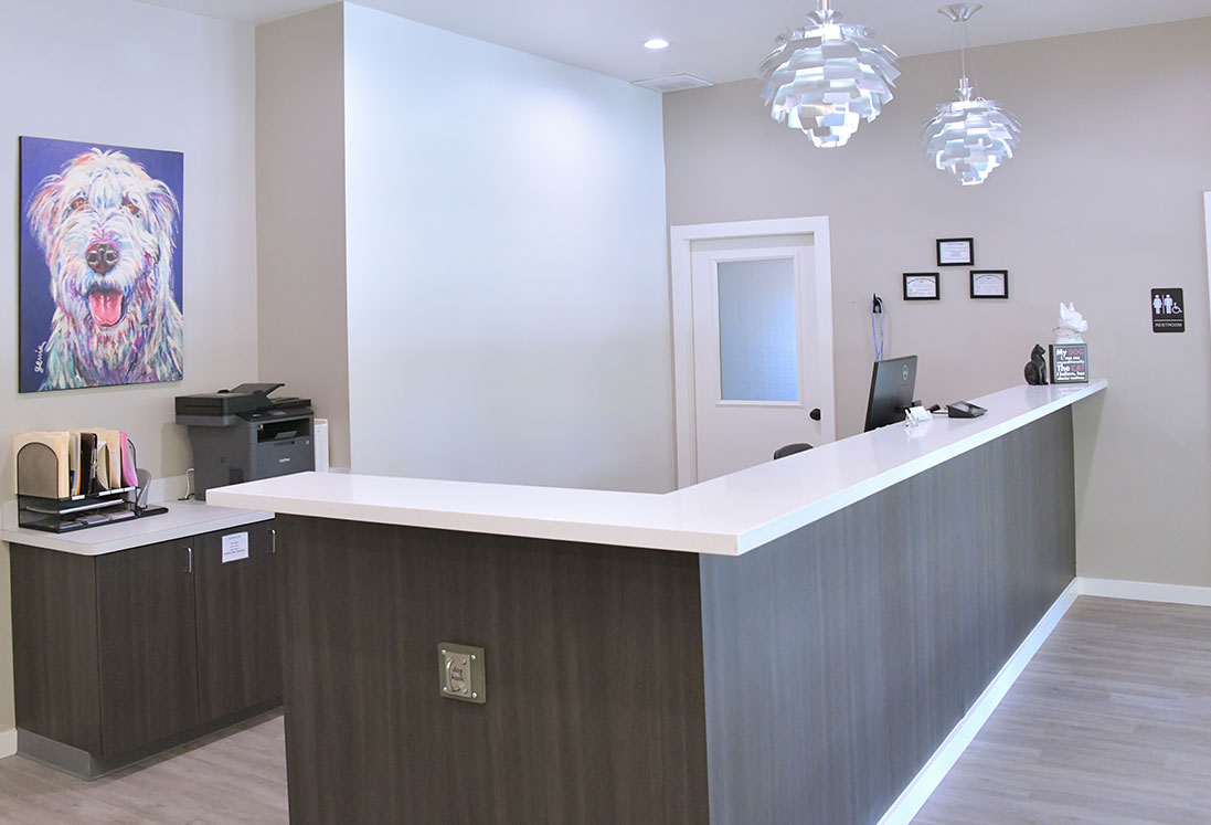 A modern, clean reception area with a large painting of a colorful dog on the wall, stylish hanging lights, and a desk with information on pet pain management and office supplies.