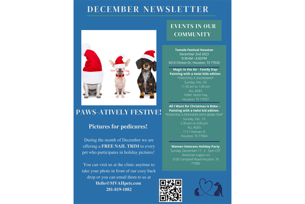 A festive December newsletter featuring santa-hat-wearing dogs next to event details for community activities and contests, including a section on pet behavior guidance. The background is blue with snowflake decorations and contact information