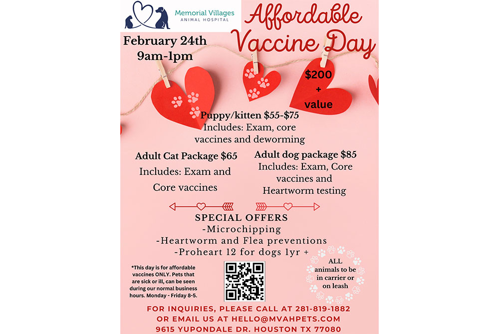 Poster for affordable vaccine day at Memorial Villages Animal Hospital featuring various pet healthcare packages, veterinary acupuncture, and contact details, with heart and paw print design elements.