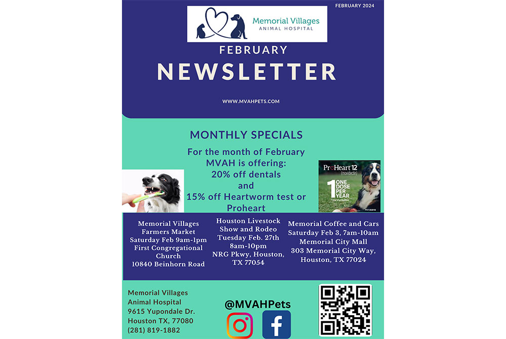 Image of a newsletter titled "memorial village animal hospital newsletter, february 2008," featuring discount offers, event dates, and contact information, styled in blue and red with pet nutrition and heart