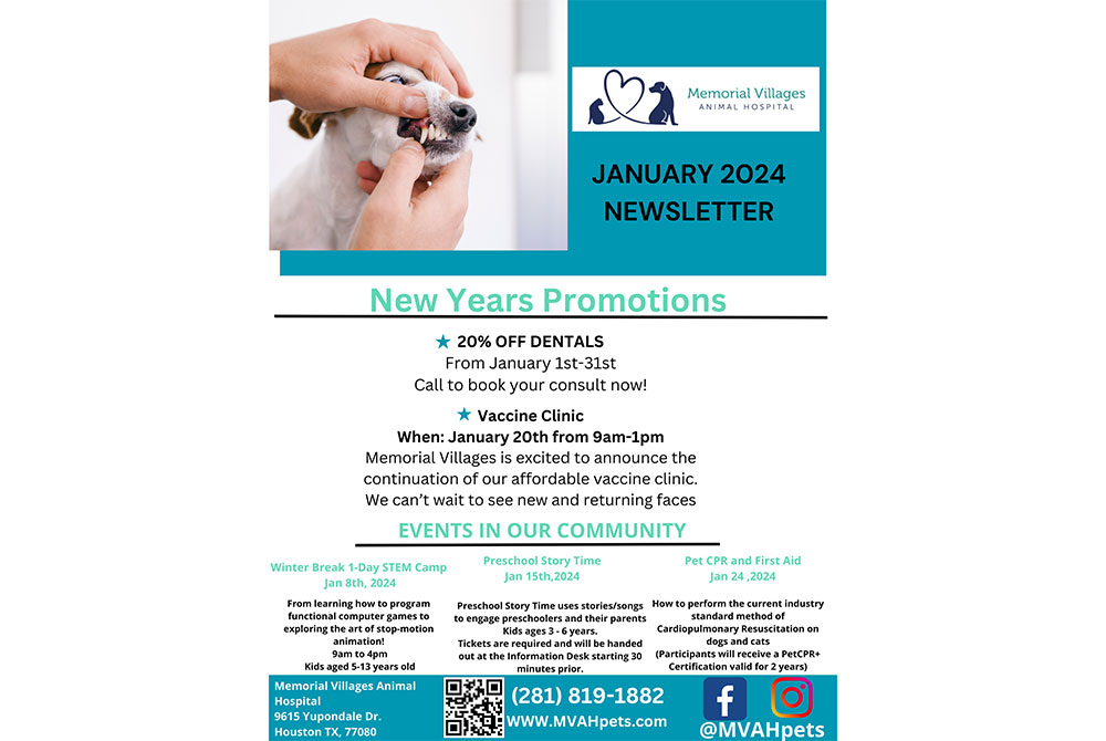 Image of a veterinarian gently examining the paw of a small dog in a clinical setting. Text overlays promote a new year 2024 veterinary clinic newsletter with discounts, events details, and pet behavior guidance.