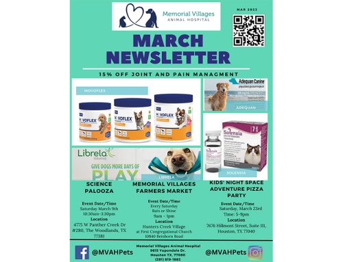 Mar Newsletter