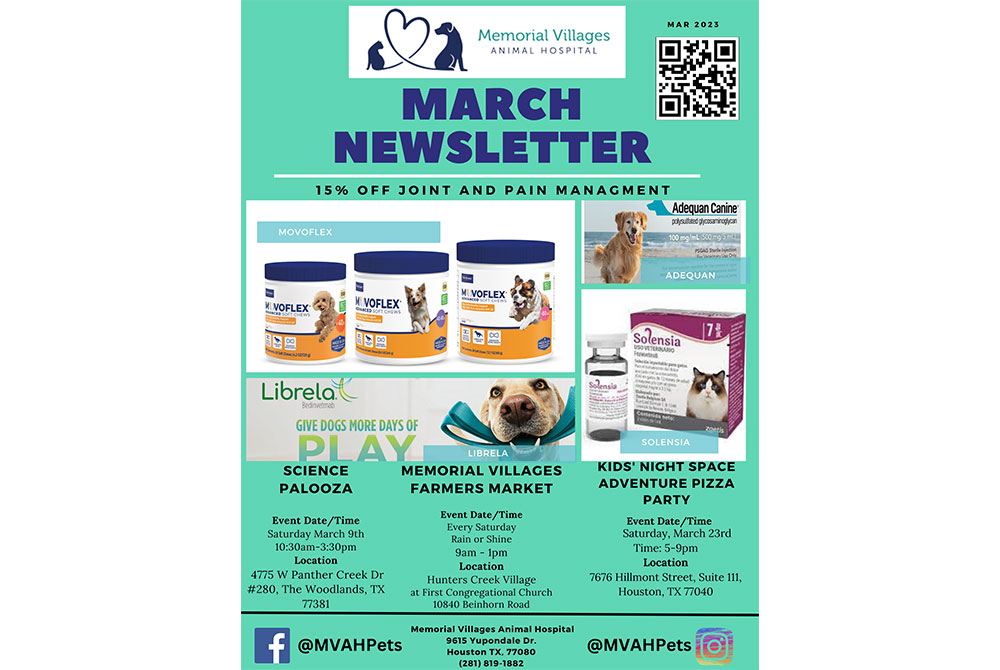 Flyer for memorial and villages animal hospital featuring a 15% off joint supplement advertisement, images of pet products, a calendar of events for March 2023, veterinary acupuncture services, and contact information