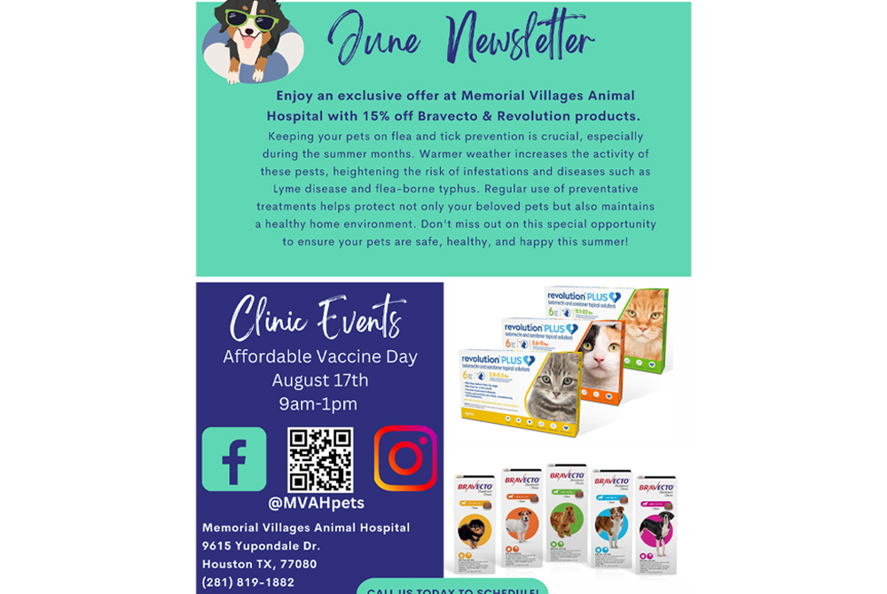 June newsletter for Memorial Villages Animal Hospital promoting a 15% discount on Bravecto and Revolution products, a Vaccine Day event on August 17th from 9am-1pm, and social media contact info. The flyer includes pet photos, product images, and clinic location details.