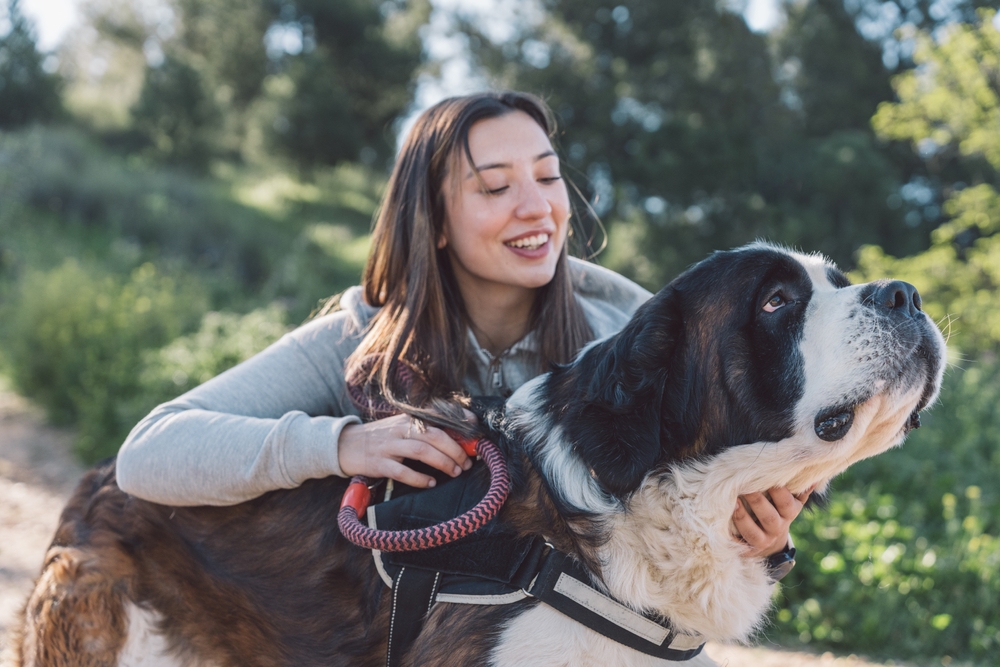 A woman with long dark hair and a light gray hoodie joyfully hugs a large Saint Bernard dog outdoors. They appear to be in a lush, green area with trees in the background and sunlight streaming through. The dog wears a black harness.