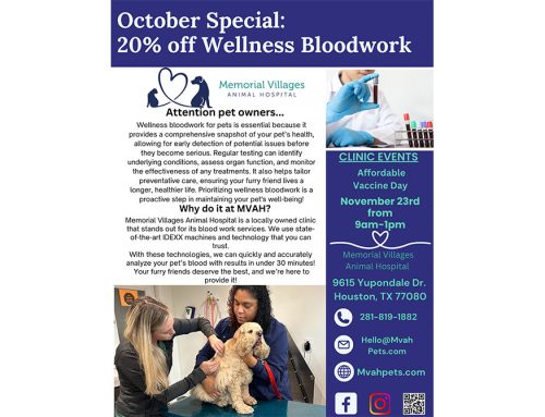 October Newsletter