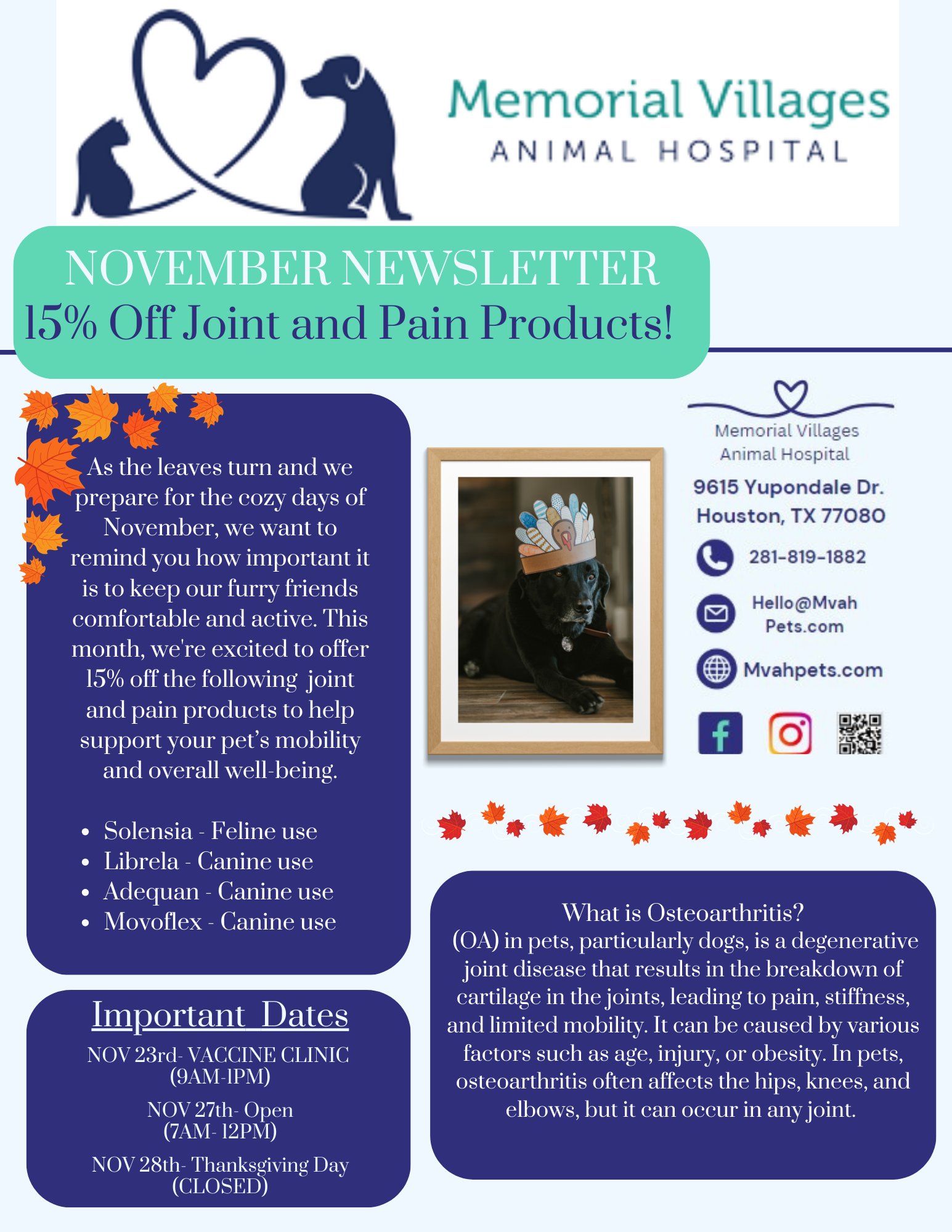 A November newsletter for Memorial Villages Animal Hospital features a dog wearing a party hat. The newsletter offers a 15% discount on joint and pain products. It includes information about osteoarthritis and important dates for November.