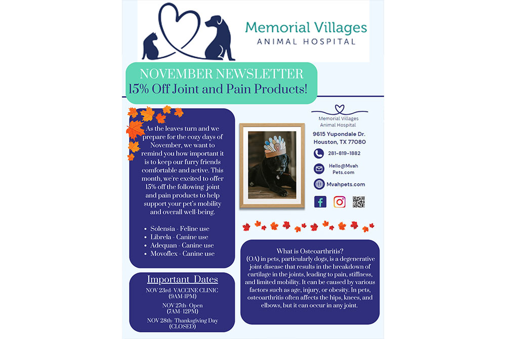 Newsletter for Memorial Villages Animal Hospital featuring a 15% discount on joint and pain products for pets. Details include clinic address, contact info, and educational content about osteoarthritis in pets. Important dates and office hours are listed.