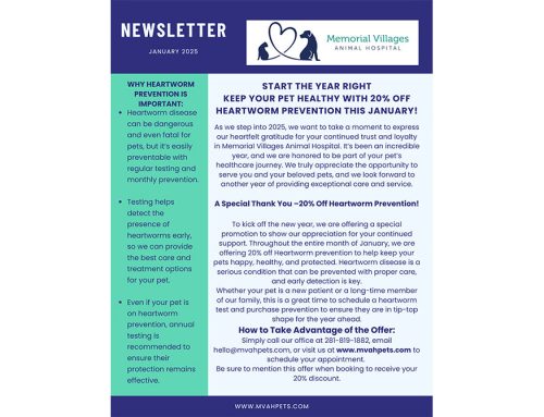 January Newsletter