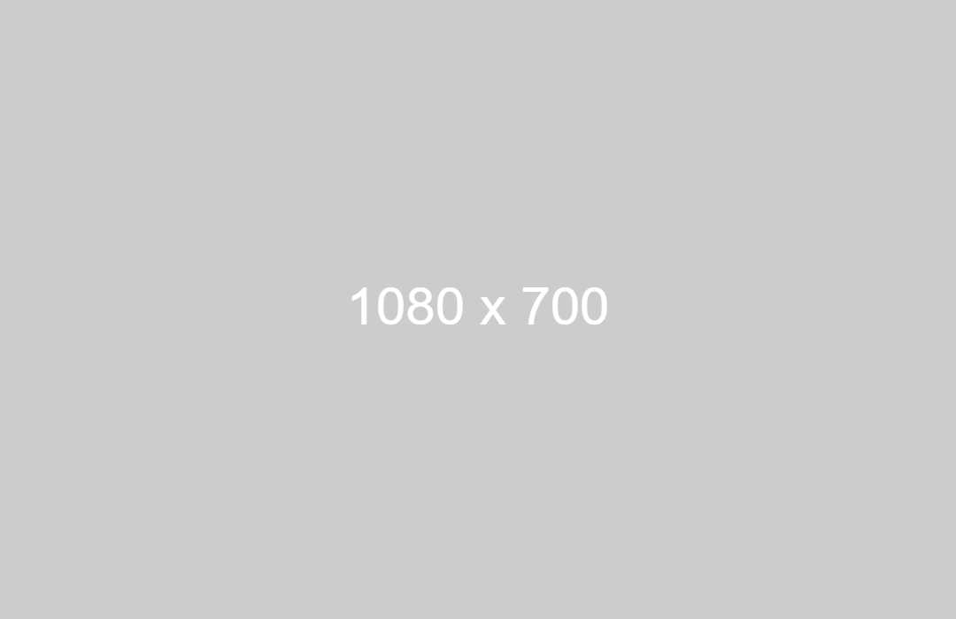 Placeholder text "1080 x 700" on a solid gray background, indicating image dimensions for veterinary acupuncture.