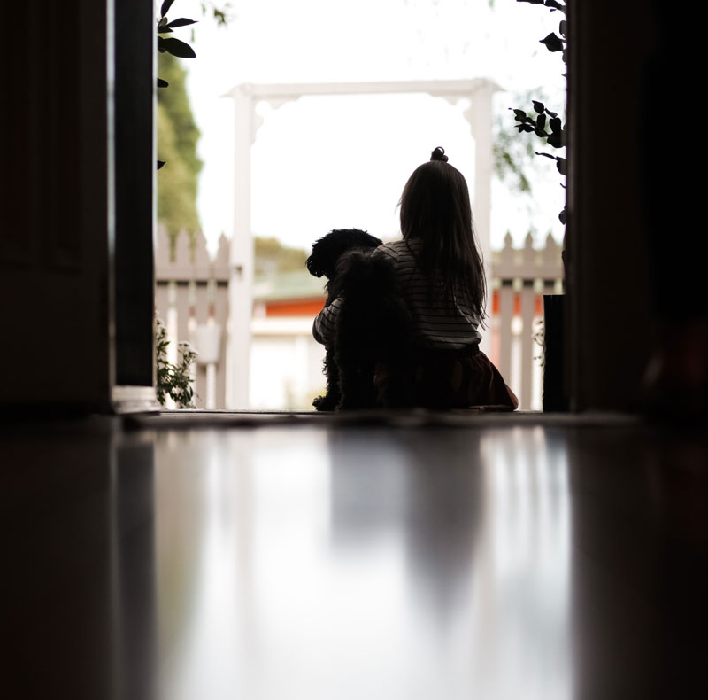 A silhouette of a young girl and her dog sitting together by an open door, looking out at a white picket fence and gazebo in gentle daylight, pondering pet nutrition.